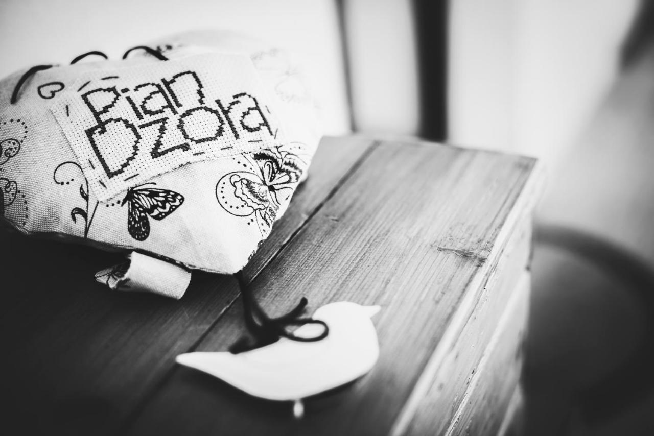 Ca 'D Langa B&B Treiso Eksteriør bilde
